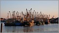 krabbenfischer in havneby (römö).JPG